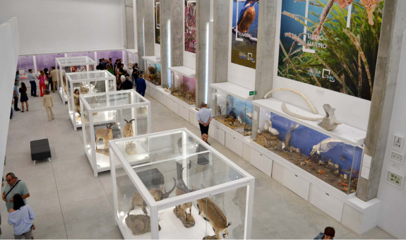 Salida de campo: Pabellón de Historia Natural de la UAL